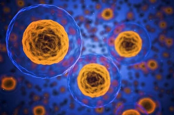 Como funciona o proceso de perda de peso